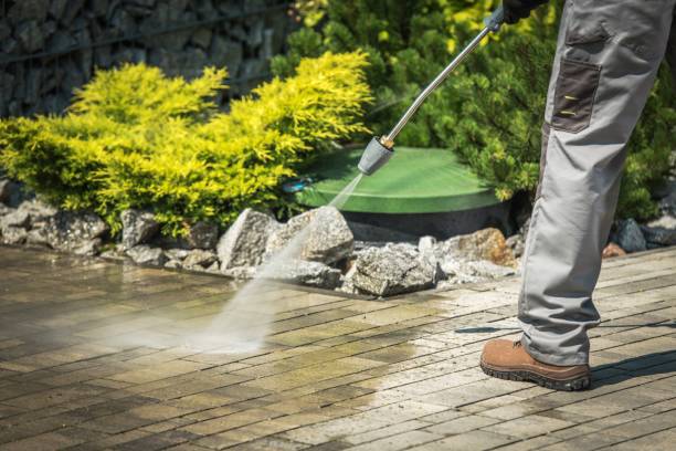 Best Boat and Dock Cleaning  in Lake Nacimiento, CA
