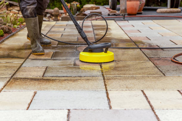 Best Animal Enclosure Cleaning  in Lake Nacimiento, CA